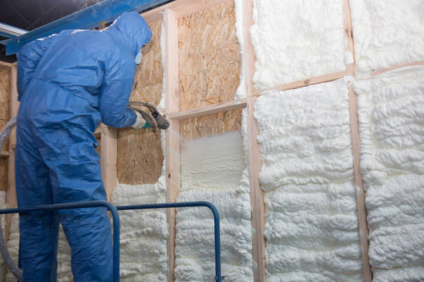 Best Insulation for Existing Homes  in Salem, MA